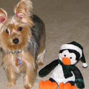 Meet your Posher, Joanne